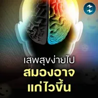 Cheap Dopamine ความสุขราคาถูก ที่อาจทำให้สมองแก่ไวขึ้น | MM EP.2579
