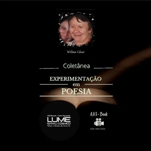TERCEIRA VISÃO. Wilma César 