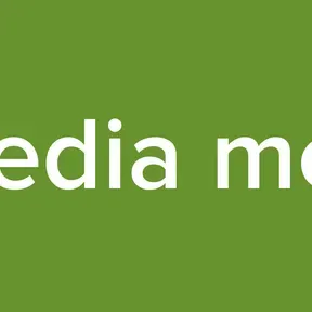 Media men
