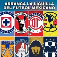Arranca la liguilla