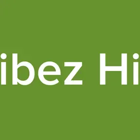 RadioVibez Hindi Old