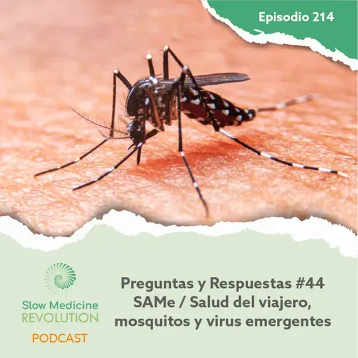 214 - P&R48 - SAMe y metilación / Salud del viajero, mosquitos y virus emergentes - Episodio exclusivo para mecenas
