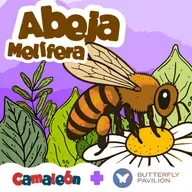 Abejas melíferas: Las que bailan para hablar