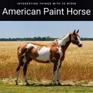 1398: "American Paint Horse"