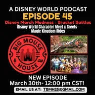 Episode 45: Magic Kingdom Rides & Character Meet & Greets | Disney Bracket Showdown