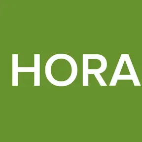 1 HORAs