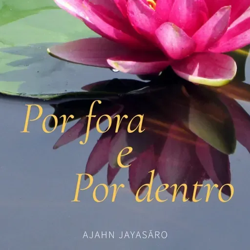 Por fora e por dentro (AudioLivro completo)