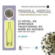 Le sotol, un spiritueux traditionnel du nord du Mexique.