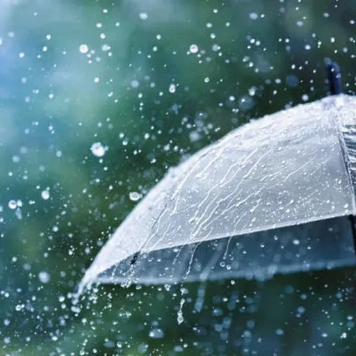 Episodio 2 - Está lloviendo/ Yağmur yağıyor