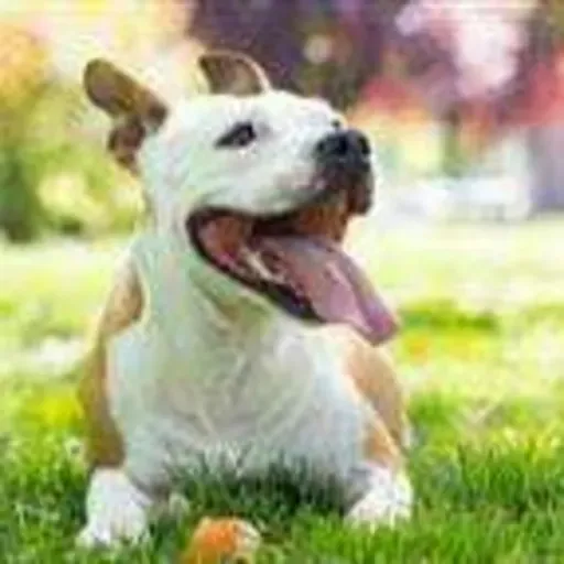 Sonido de perro jadeando