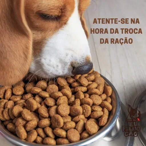 Atente-se na hora da troca da ração