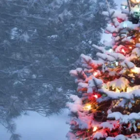 The Sunday Morning RiseDown