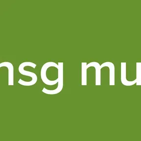 Lensg music