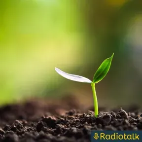 ポルノ×恋愛恐怖 克服日記ー光に向かう日々