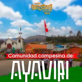 Armando Alvarez en vivo