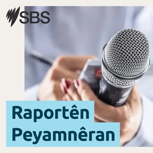 Alîkariya leşkerî ya Amerîka ji bo Kurdan dibe sedema aloziyên siyasî li Herêma Kurdistanê