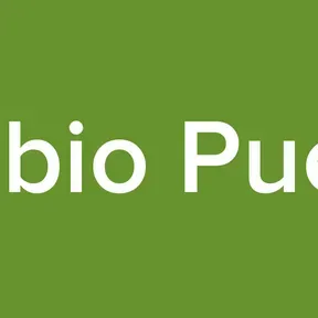Radio Biobio PuertoMontt