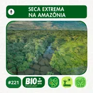 221 - Seca extrema na Amazônia