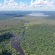 Noruega anuncia desbloqueio de verbas do Fundo Amazônia