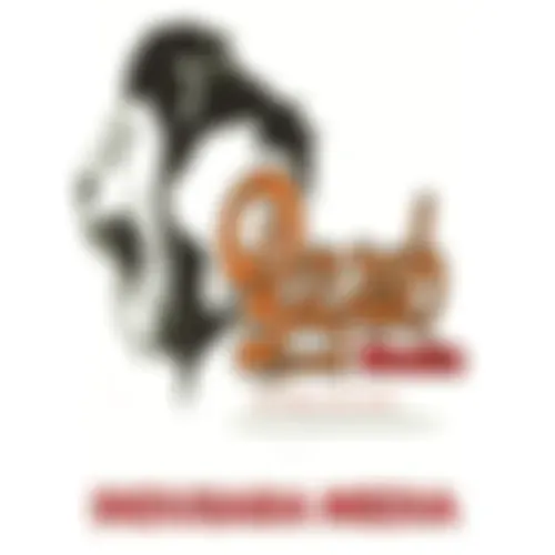 ඉඳුසර රේඩියෝ