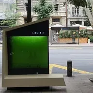Árboles líquidos: ¿la solución urbana para la contaminación?
