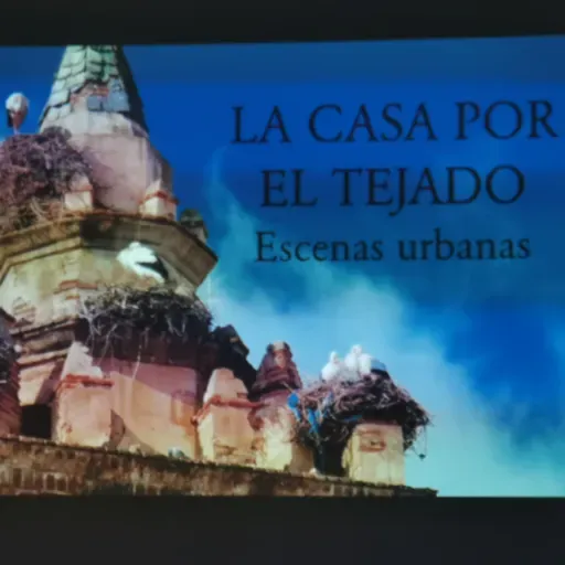 La Casa por el Tejado
