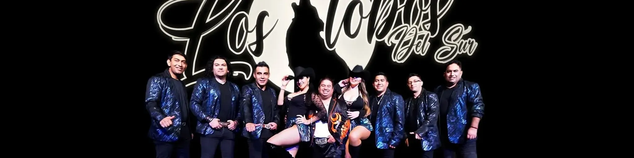 Radio Online Los Lobos Del Sur