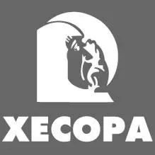 XECOPA La Voz de los Vientos en vivo