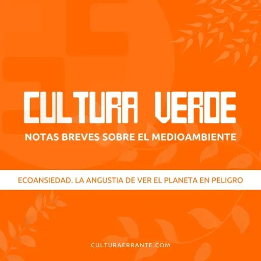 026 Ecoansiedad. La angustia de ver el planeta en peligro | Cultura verde
