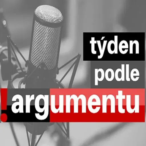 I. Švihlíková: Týden dle !A32: Zvyšování úrokových sazeb ECB je mimo a o čem svědčí převrat v Nigeru