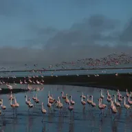 Viaje al corazón ecológico del sur de España