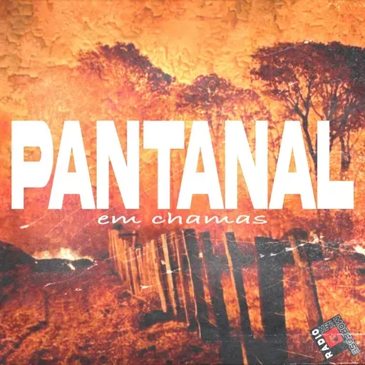 RM #92: Pantanal em Chamas