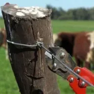 Un productor de Santo Domingo denuncia el robo de más de 100 animales de su campo