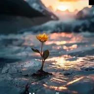 Pensamento e Vida - Cap. 16. Vocação