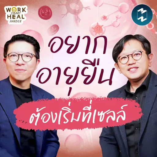 ความลับชะลอวัย กลไกยืดอายุ หมออั๋น The Longevist #WorkSmartHealHarder | MM EP.2547
