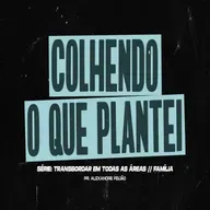 COLHENDO O QUE PLANTEI