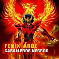 12 CASAS: FENIX ARDE: CABALLEROS NEGROS
