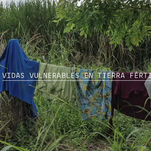 Vidas vulnerables en tierra fértil