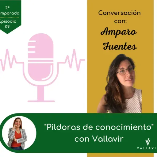 Los espacio CoWorking, con Amparo Fuentes