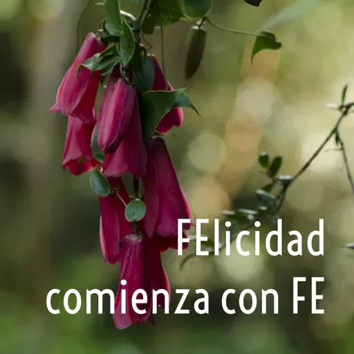 Más allá de tu geografía personal