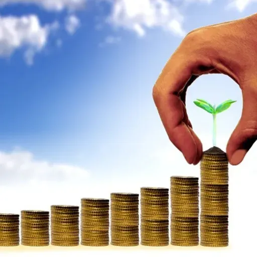 Quais os segredos de uma mente milionária?