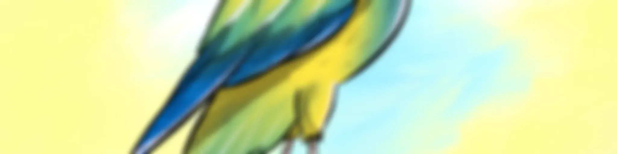 Sem Gravidade Podcast