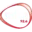 MFM