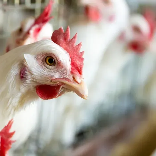 Economía en Andaluz 12 de septiembre de 2025