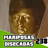 Mariposas Disecadas Es Incomoda