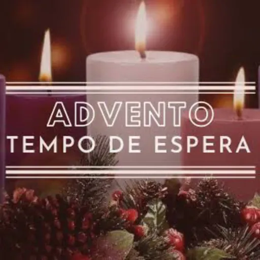 Homilia do 1° Domingo do Advento 