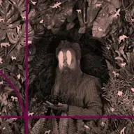 Sam Beam of Iron & Wine: Grammy-nominated musician on creativity, collaboration, and why a good day is finding one great lyric