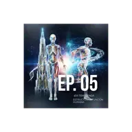 05 estructura y función humana