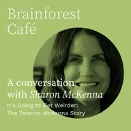 It's Going to Get Weirder: The Terence McKenna Story