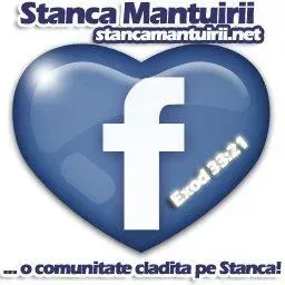 Stanca Mantuirii